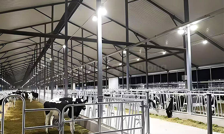 How Steel Structure Livestock Barns Improve Animal Welfare &amp; Farming Profitability