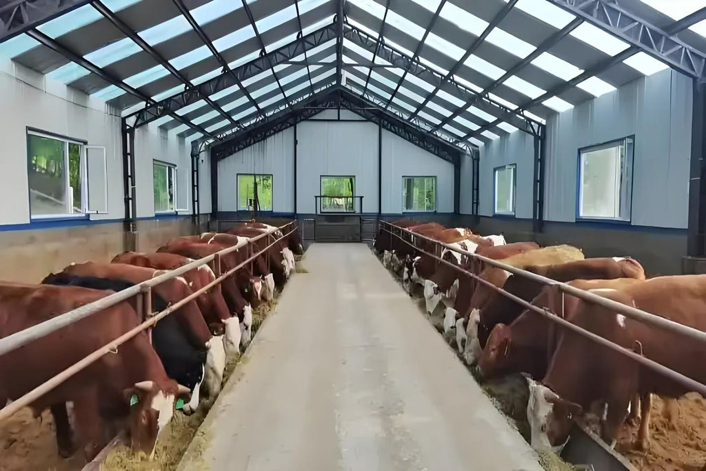 Key Trends in Steel Structure Design for Livestock Housing: Efficiency, Durability, and Sustainable Farming