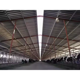 Factory Cheap Price Prefabricated Building Steel Structure Goat Milking Cows Farming