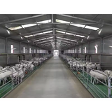 Sheep Goat Cowshed Barn With Welding Cutting Bending for Steel Workshop