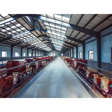 Sheep Goat Cowshed Barn With Welding Cutting Bending for Steel Workshop