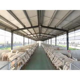 Factory Cheap Price Prefabricated Building Steel Structure Goat Milking Cows Farming