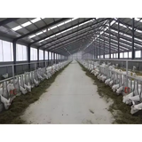 Low Cost Chickens Poultry Farm Prefab Metal Steel Structure Farm Building Cow Chicken Sheep Barn Shed