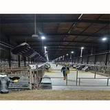 Sheep Goat Cowshed Barn With Welding Cutting Bending for Steel Workshop