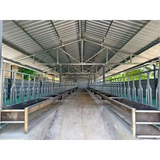 Low Cost Chickens Poultry Farm Prefab Metal Steel Structure Farm Building Cow Chicken Sheep Barn Shed