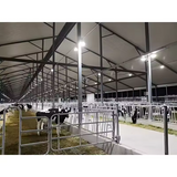 Cattle Barn Steel Structure for Livestock Farming Prefabricated Cow Shed